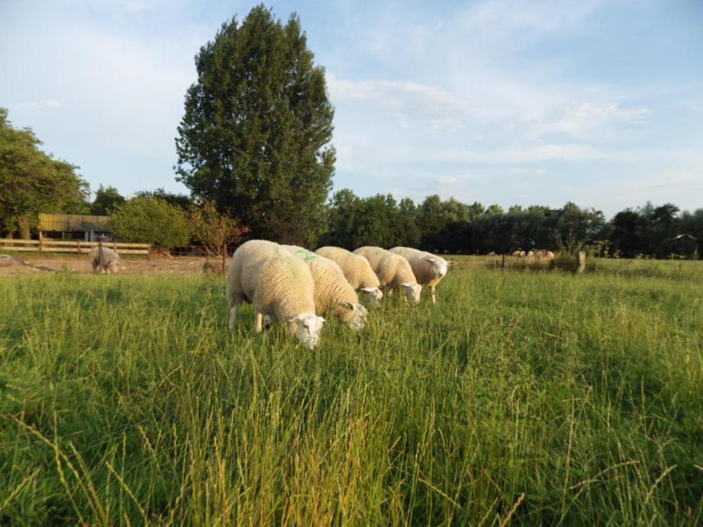 Landrust Διαμέρισμα Horssen Εξωτερικό φωτογραφία