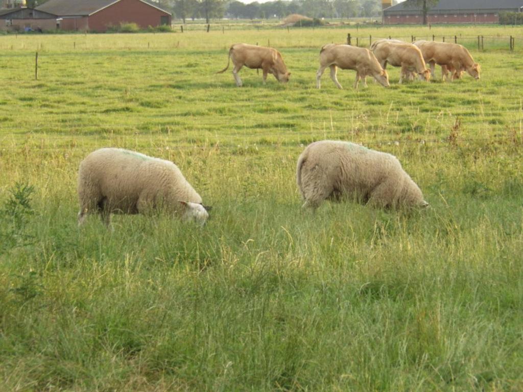 Landrust Διαμέρισμα Horssen Εξωτερικό φωτογραφία